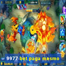 9977 bet paga mesmo